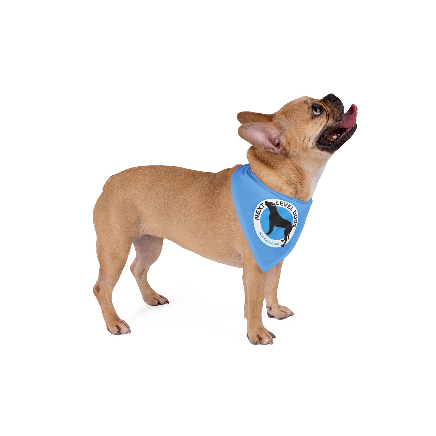 Next Level Dogs Pet Bandana