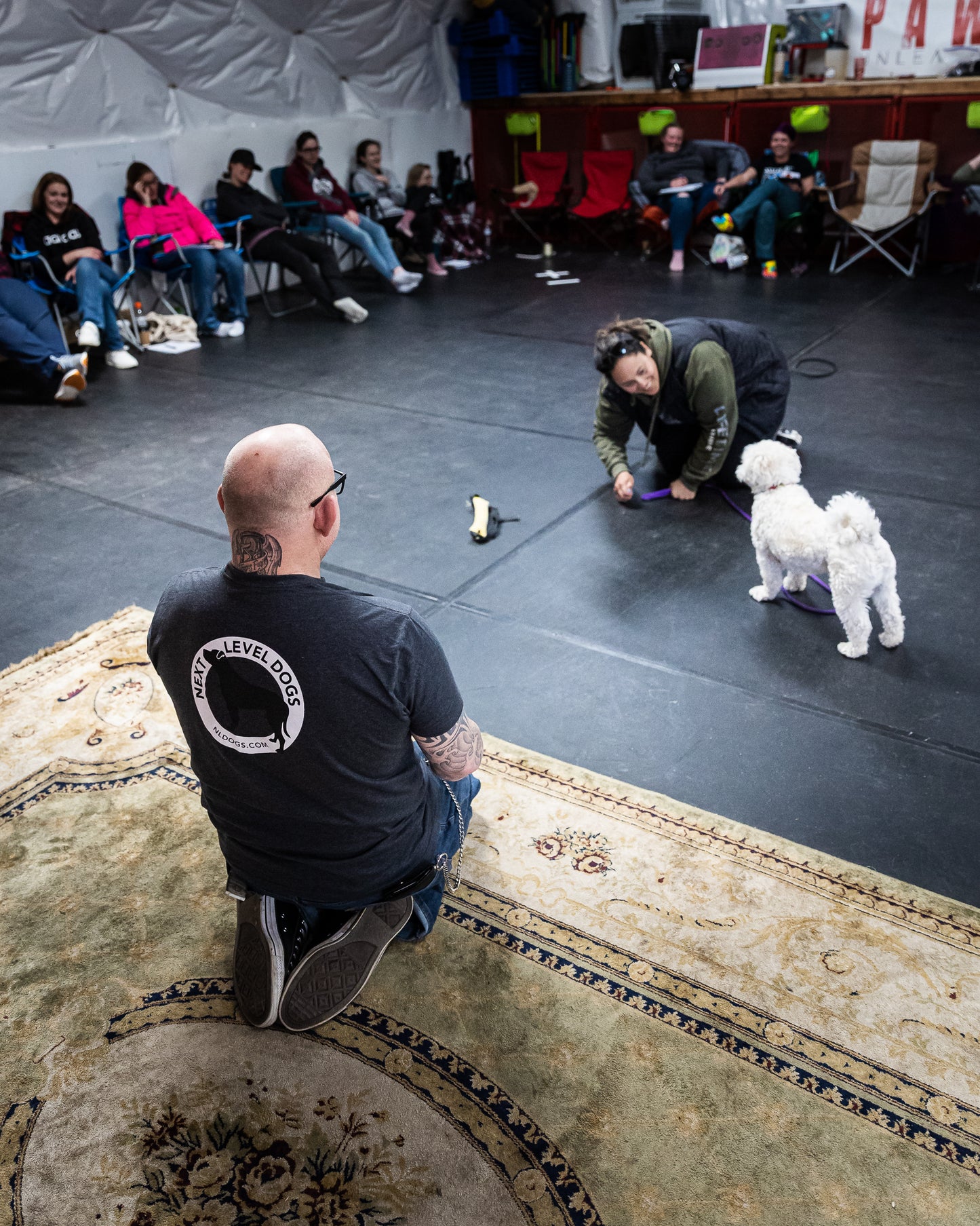 Dog Training Seminar - Inquiry