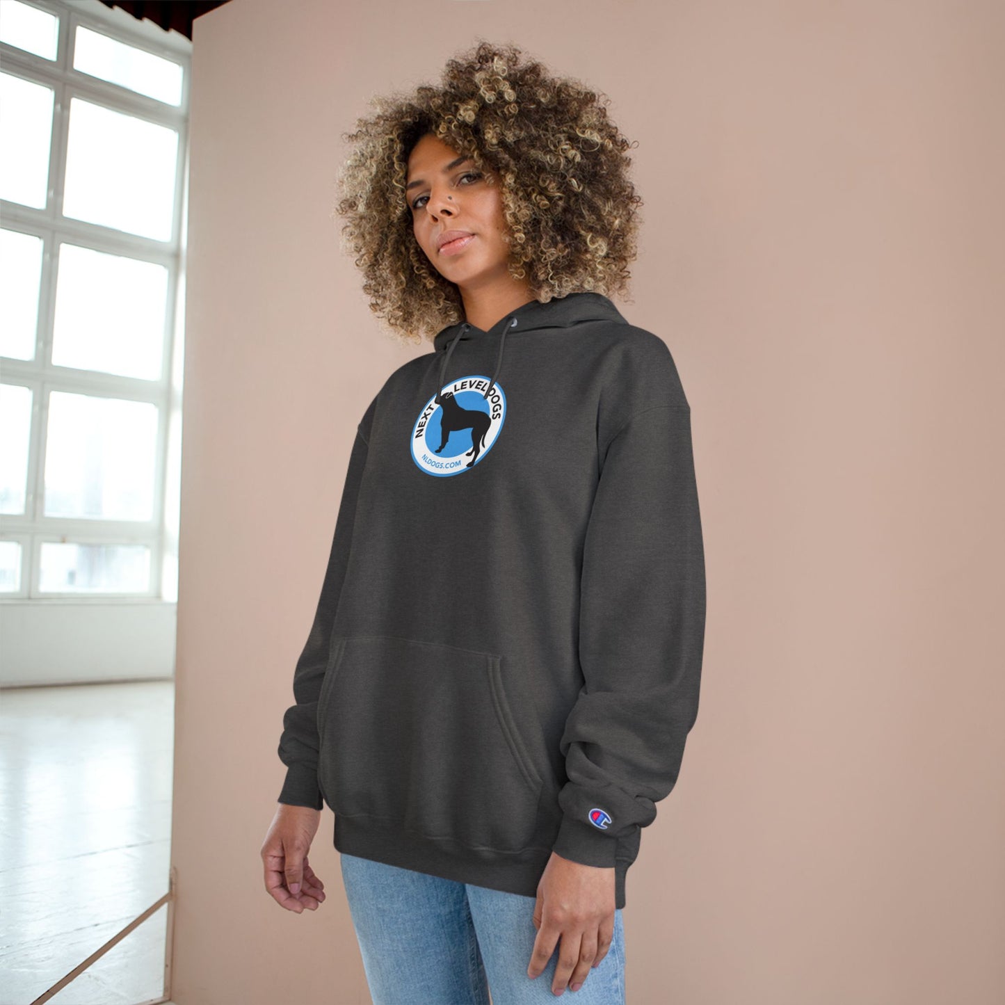 Obedience Is Not a Lifestyle Hoodie — Dog Training Champion Pullover