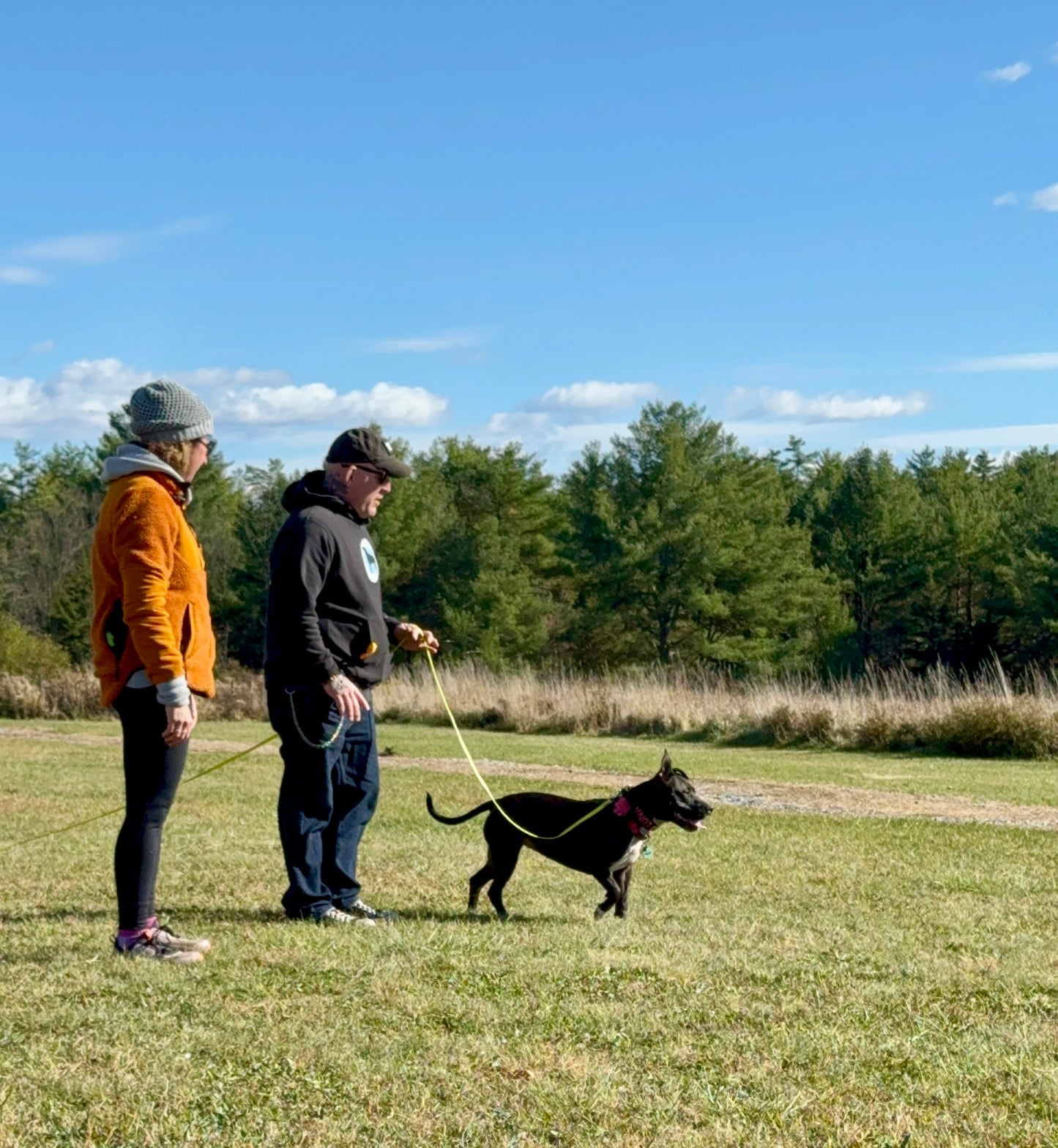 In-Person Dog Training and Behavior Consultation